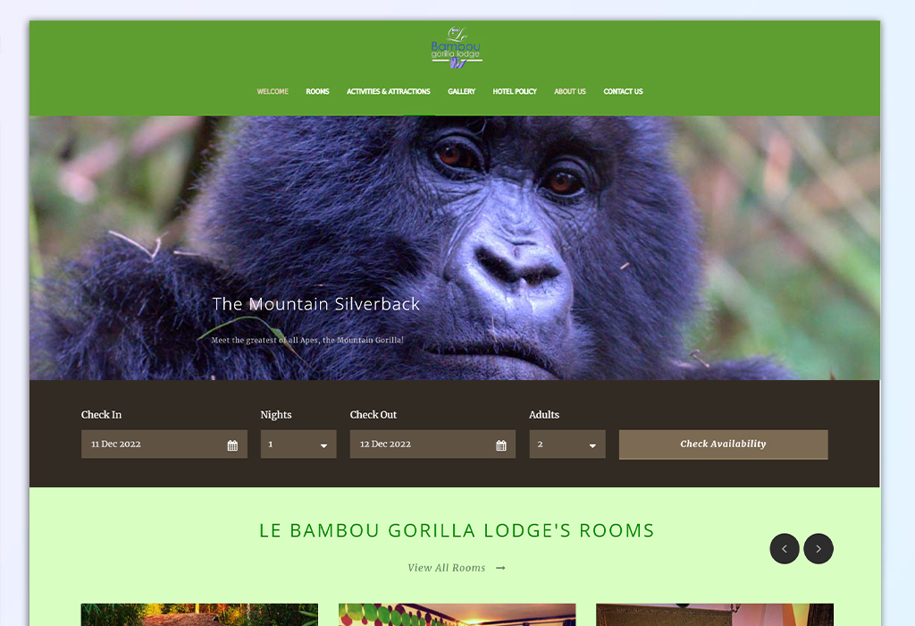 Le Bambou Gorilla Lodge